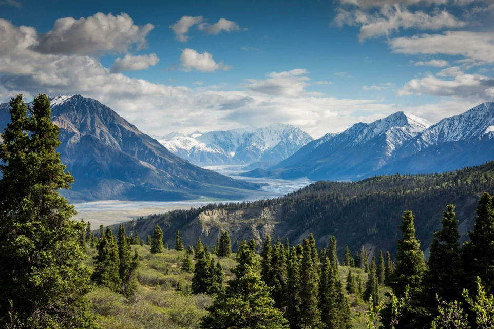 snow capped mountains with valley and forest